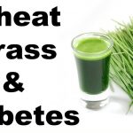 Wheatgrass Benefits in Diabetes